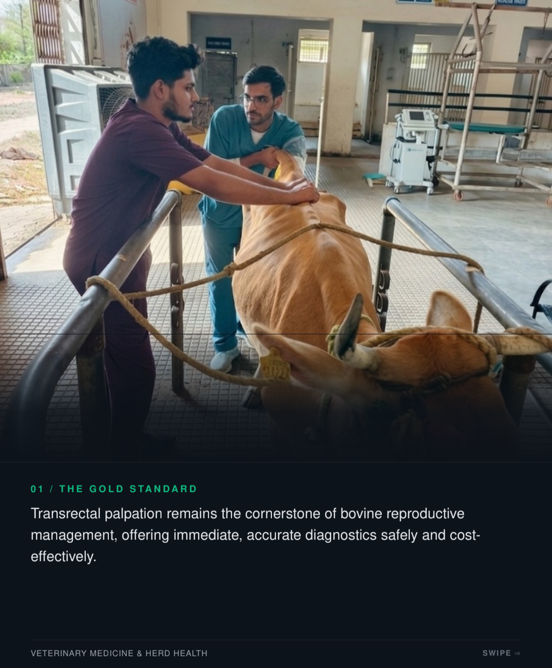 Bovine Diagnostics