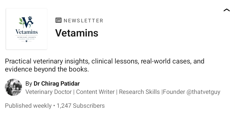 Vetamins LinkedIn newsletter preview