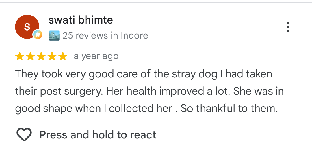 Google Review 3