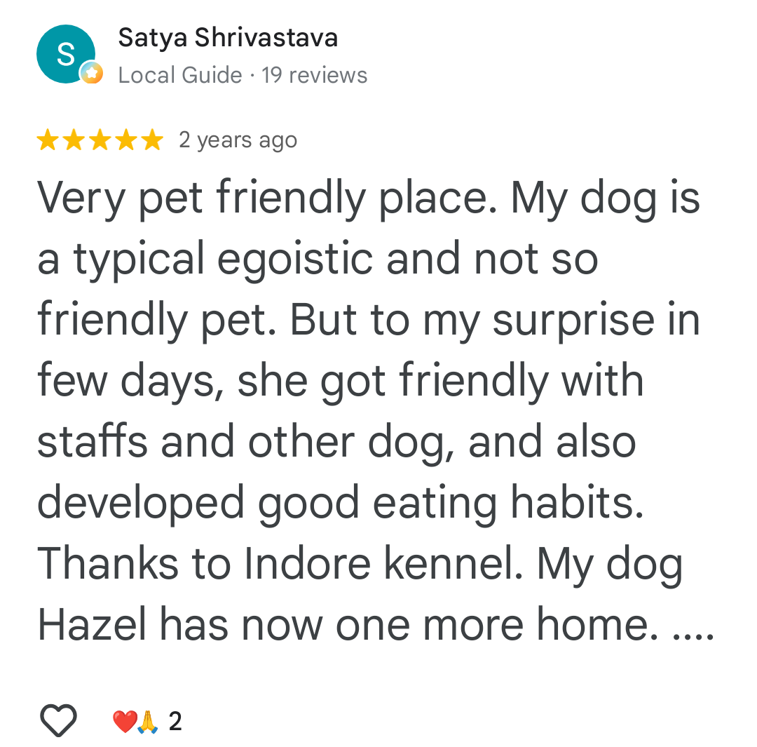 Google Review 4