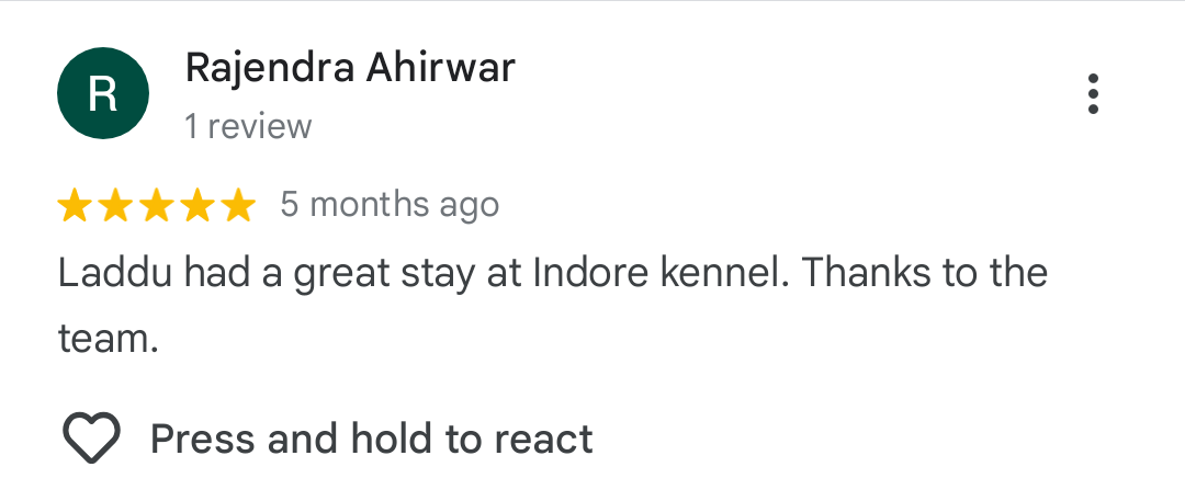Google Review 5